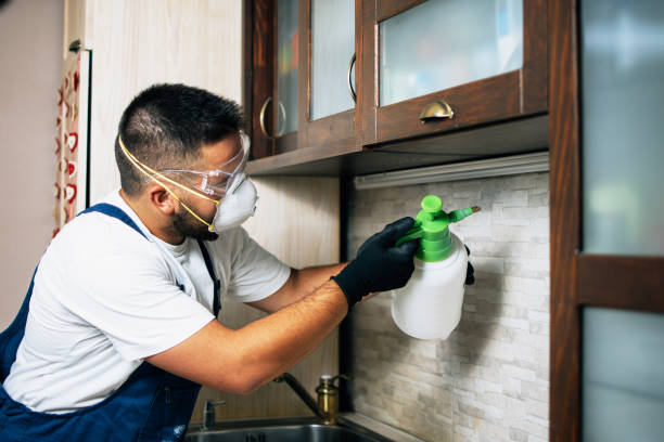 Trusted Cedarville, OH Pest Control Experts