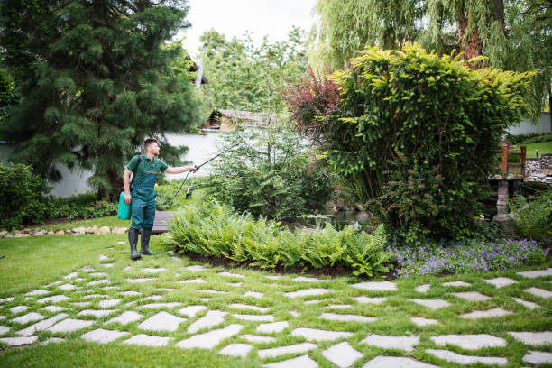 Trusted Cedarville, OH Pest Control Experts