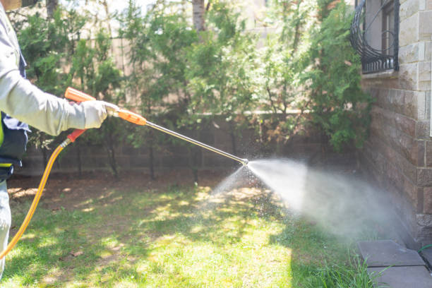 Best Emergency Pest Control  in Cedarville, OH