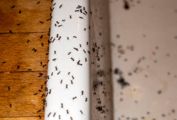 Cedarville, OH Pest Control Company