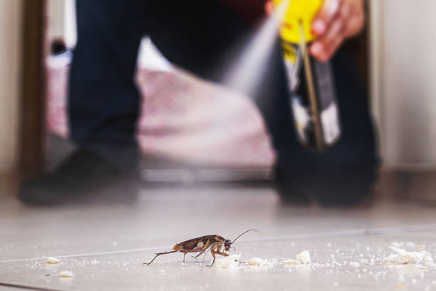 Best Best Pest Control Companies  in Cedarville, OH