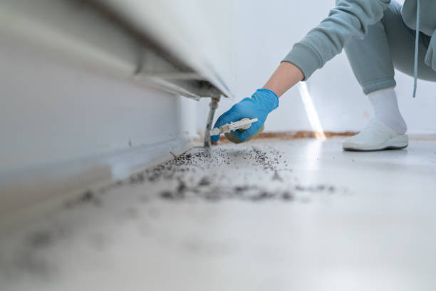 Best Pest Control Near Me in Cedarville, OH